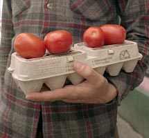 Beautiful, fresh organic produce always available